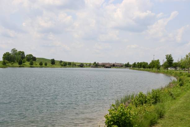 istock Peaceful Lake in the Countryside 1558285807