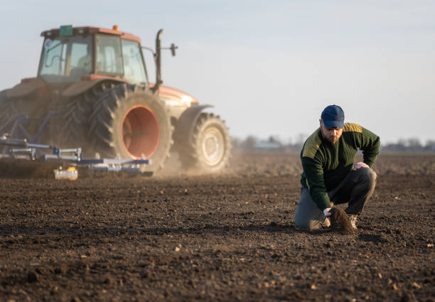 Farmer examing dirt while tractor is plowing field stock photo