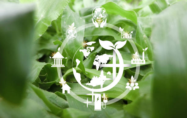 O2 Net-Zero Emission Concept concepto de emisiones netas cero de co2 concepto de carbono neutro y cero neto. entorno natural estrategia a largo plazo climáticamente neutra objetivos de emisiones de gases de efecto invernadero y un planeta blanco en medio de una hermosa