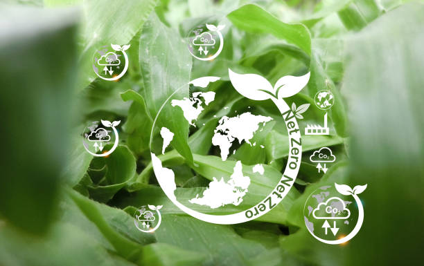 O2 Net-Zero Emission Concept concepto de emisiones netas cero de co2 concepto de carbono neutro y cero neto. entorno natural estrategia a largo plazo climáticamente neutra objetivos de emisiones de gases de efecto invernadero y un planeta blanco en medio de una hermosa