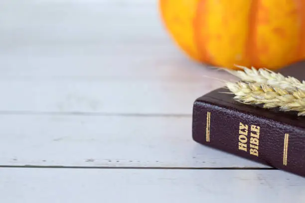 Holy bible book, ripe ears of wheat, and pumpkin on wooden table. Closeup, copy space. Christian blessing, thanksgiving, gratitude, biblical concept.