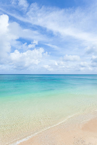 istock White sandy tropical beach with clear blue coral water 155832169