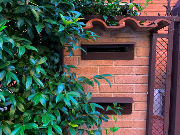 istock Mailbox in a brick wall, green bush nearby 1558323394