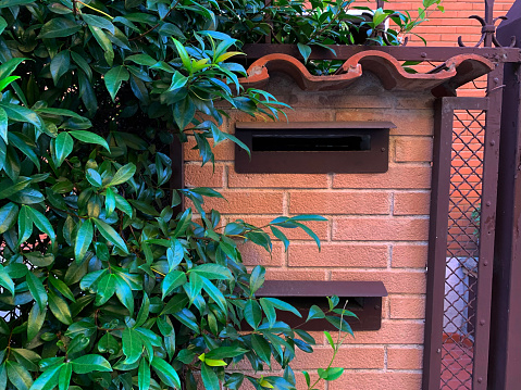 Mailbox in the garden with green leaves on the brick wall.