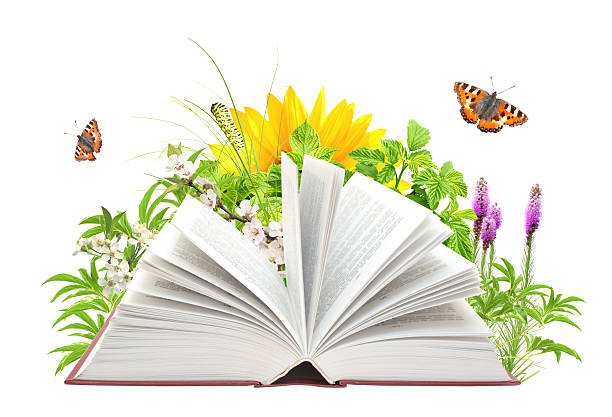 istock Book of nature 155833817