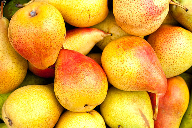 istock Group of Fresh Ripe Pears 155833943