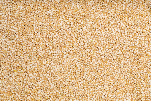 Full frame studio macro shot with top view of quinoa