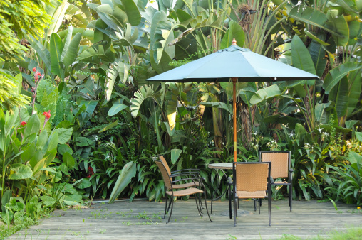 Garden furniture - rattan chairs and table under umbrella on a wooden floor by the banana trees background at garden