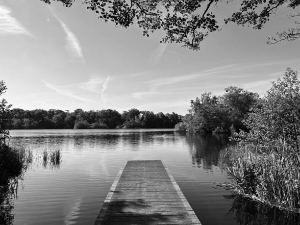 istock Jetty over a lake in Northumberland 1558360746
