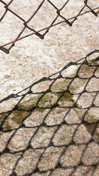 istock Wire fence and shadow on stone wall 1558366874