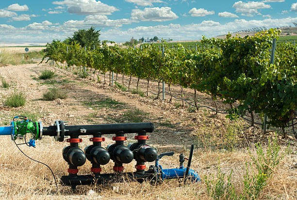 istock Water pumps for irrigation of vineyards 155837599