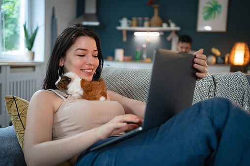 Young Caucasian woman working on laptop, while her pet, a guinea pig sitting on her shoulder