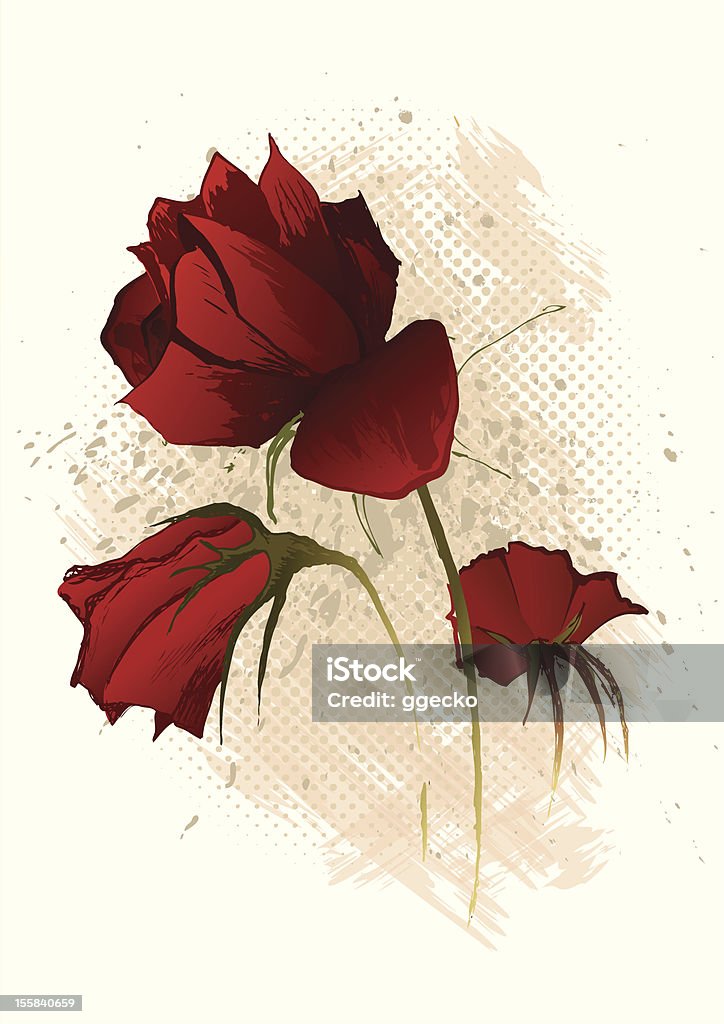 Three red roses. Hand-drawn illustration, Flowers separated from background. Wilted Plant stock vector