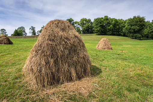 A pair of haystacks on a green meadow in the July