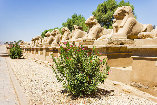 istock Ancient ruins of Karnak temple in Egypt 155843184