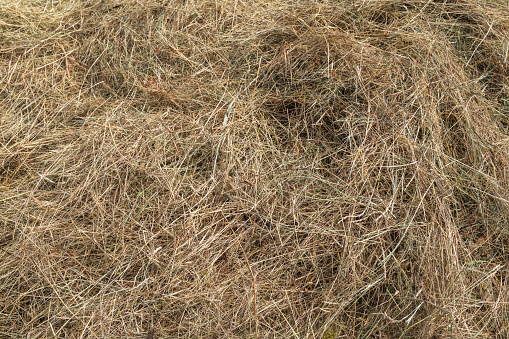 Natural dry grass wavy pattern.