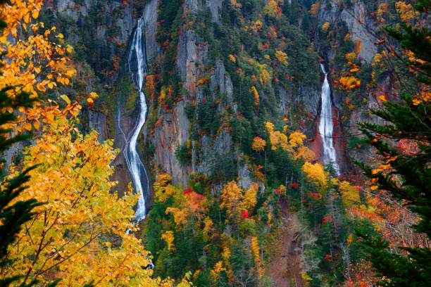 paysage d’automne des cascades de ginga et ryusei dans les gorges de sounkyo (層雲峡), avec de belles couleurs d’automne sur les falaises rocheuses, dans le parc national de daisetsuzan, hokkaido, japon
beau paysage de japonais - parc national de daisetsuzan photos et images de collection