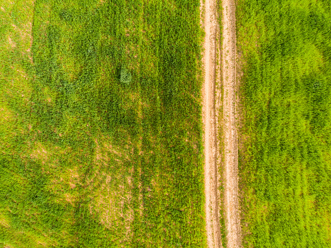 Drone view of a rural road in the middle of a green field.