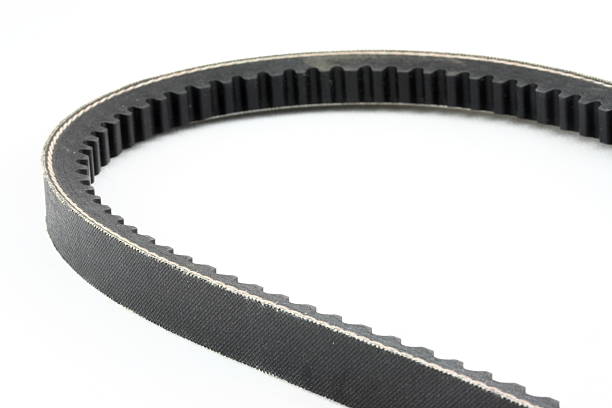 Timing belt isolated stock photo