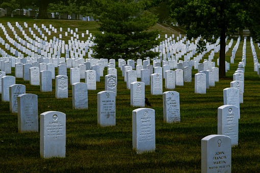 Military cemetery headstones for servicemen and women of the United States military