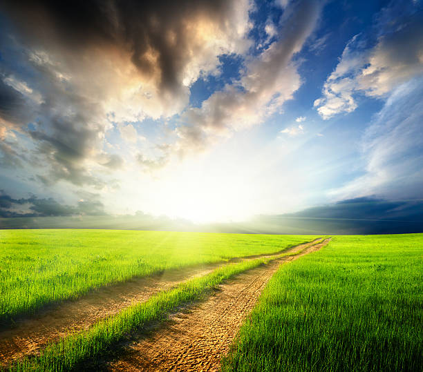 istock ground road and sunset 155851127