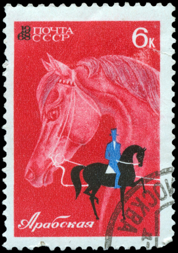 USSR - CIRCA 1968: A stamp depicts an Arab horse's head and a rider, circa 1968