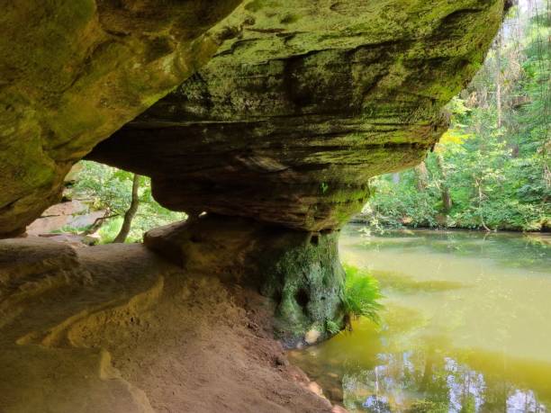 istock Summer in the Schwarzachklamm, Middle Franconia, Bayern 1558549844
