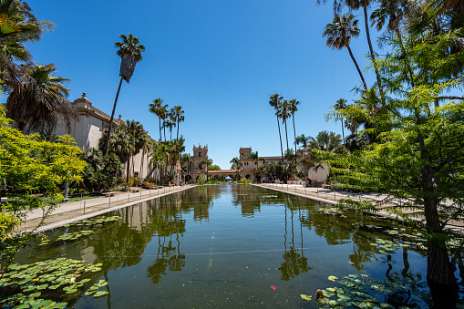 San Diego, CA, USA - 07.18.2023\n- Balboa Park Reflecting Pool near the Botanical Area and walkway on a Midsummer Day
