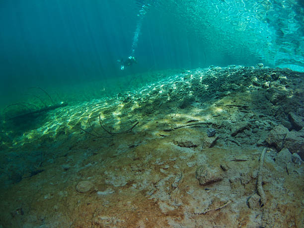 istock Freshwater underwater landscape with diver 155855811