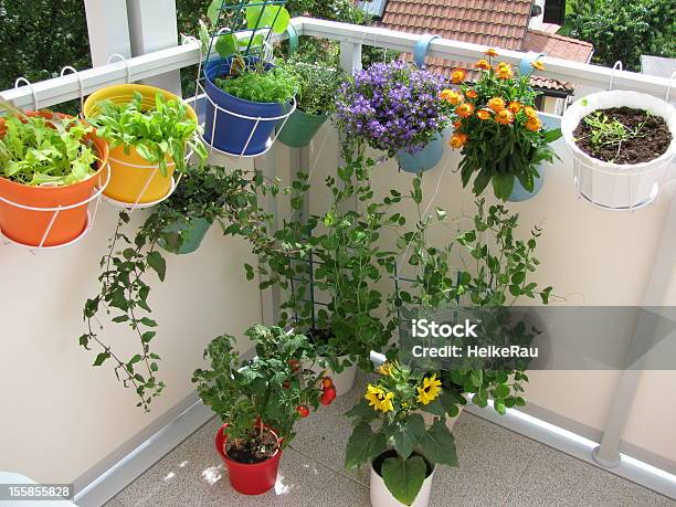 Photo libre de droit de Un Balcon Avec Des Fleurs Et Des Légumes Flowerpots banque d'images et plus d'images libres de droit de Jardinière