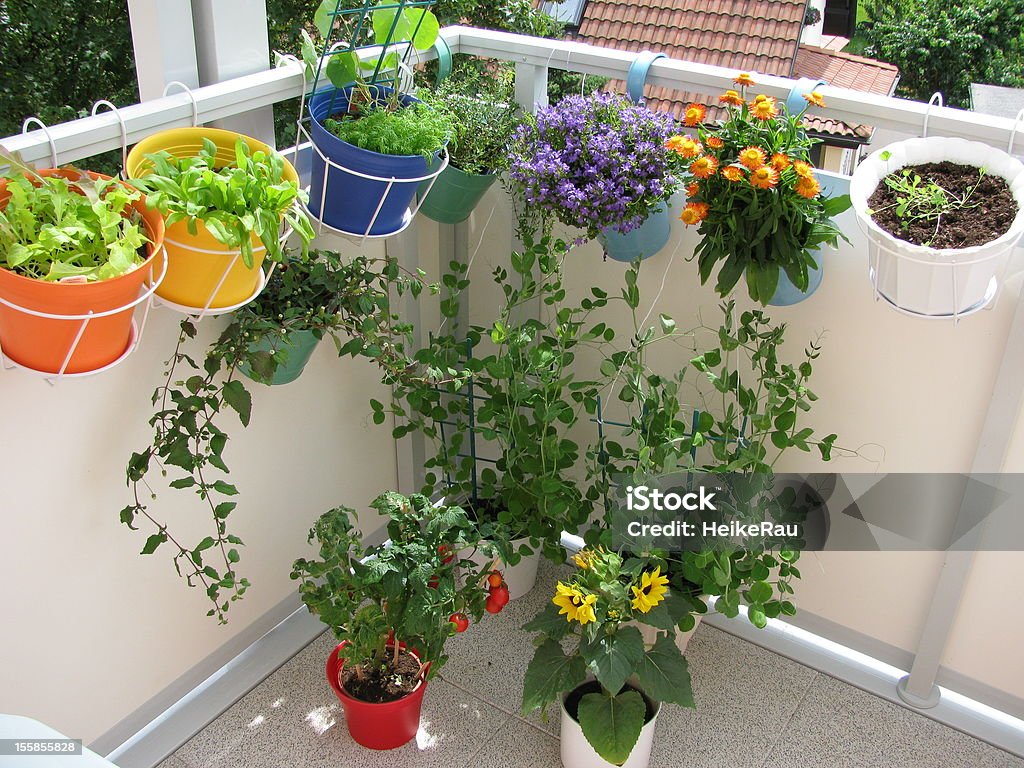 Balcony with flowers and vegetables in flowerpots Window Box Stock Photo