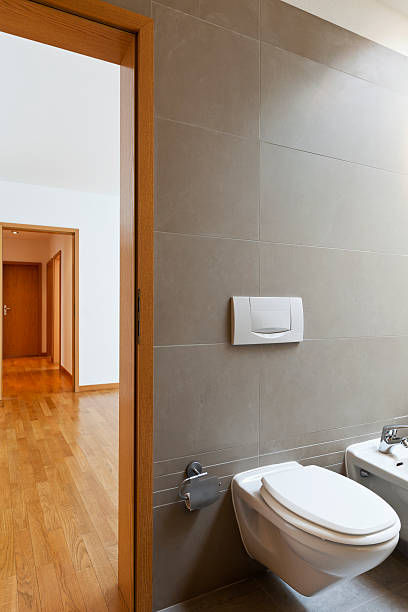 istock toilet in new bathroom 155858397