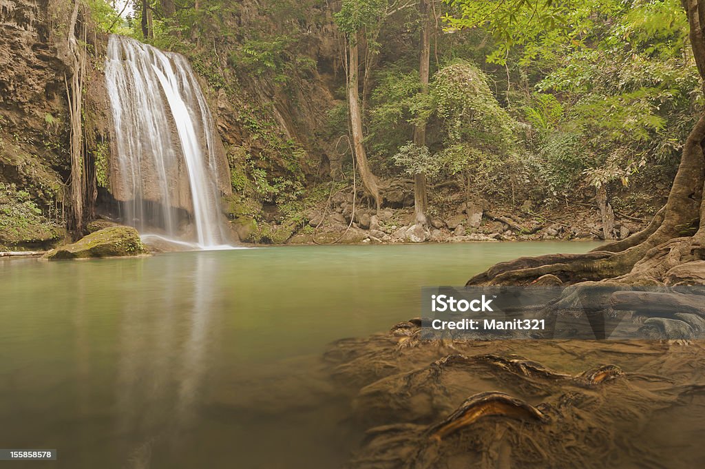 Floresta tropical cachoeiras - Foto de stock de Beleza natural - Natureza royalty-free