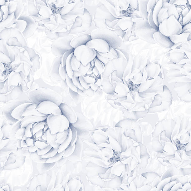 istock Seamless watercolor pattern with delicate white and blue flowers. Floral pattern for fabric, textile, wrapping, card, greeting, invitation, gift 1558617561
