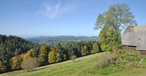 istock Landscape in Black Forest,Germany 155862956
