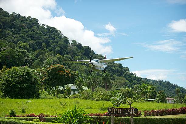 istock Plane landing in tropical location 155863435