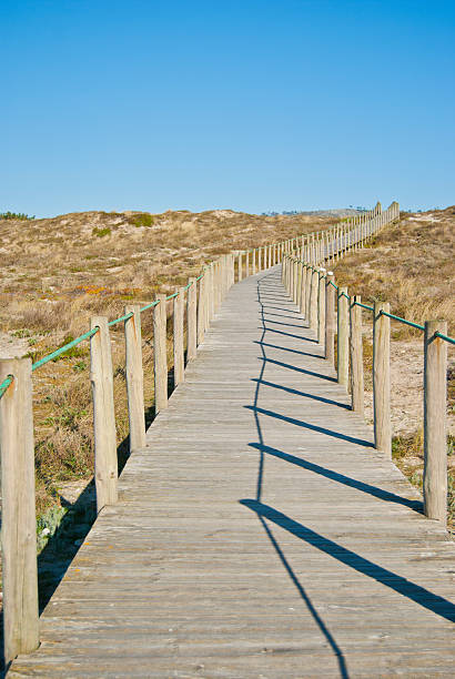 istock Boardwalk on a very sunny day 155863729