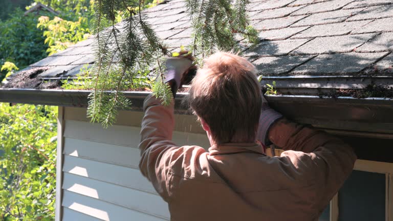 Young man cleans debris from roof gutters