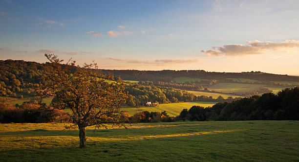 istock Landscape in the Chilterns at sunset 155864553