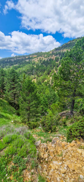 istock Linares de Mora, Teruel, panoramic view from the outskirts 1558651547