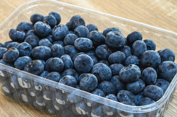 istock Pack of ripe blueberry inside container 1558659511