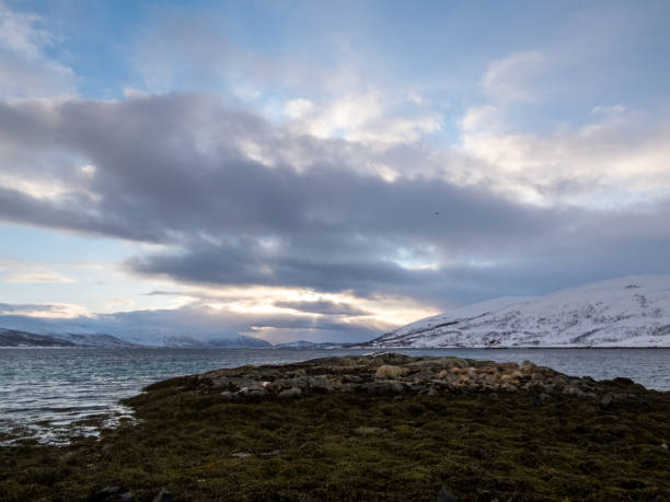istock Landscape in Winter, Kvaloya, Norway 1558670725