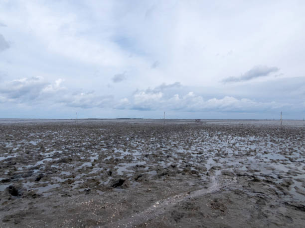 Beach in Dornumersiel, Lower Saxony, Germany