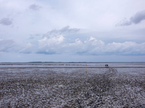 Beach in Dornumersiel, Lower Saxony, Germany