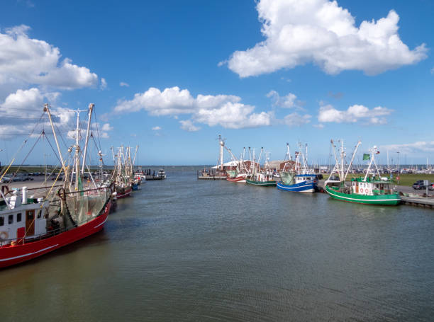 istock Fishing Boat in Dornumersiel, Lower Saxony, Germany 1558687263