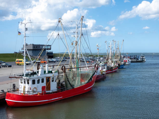 Fishing Boat in Dornumersiel, Lower Saxony, Germany