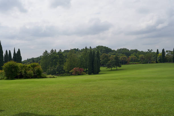 istock Sigurta Garden Park - Veneto region 1558691019