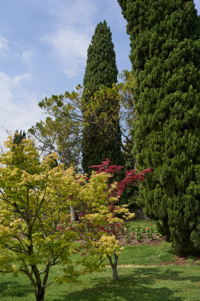 istock Sigurta Garden Park - Veneto region 1558691029
