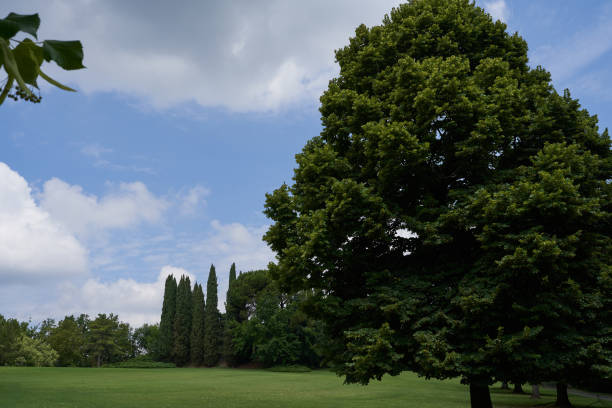 istock Sigurta Garden Park - Veneto region 1558693684