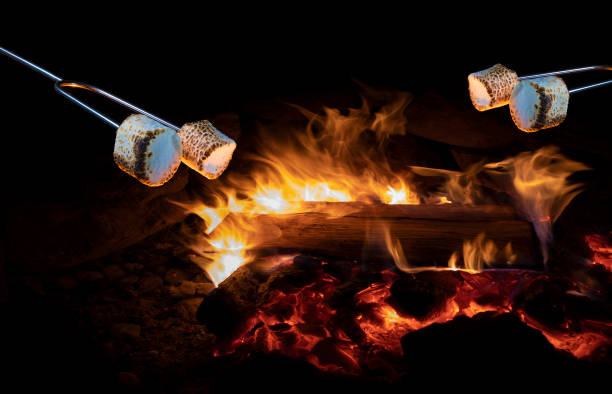 istock Four marshamallows being toasted over an open fire 1558695354